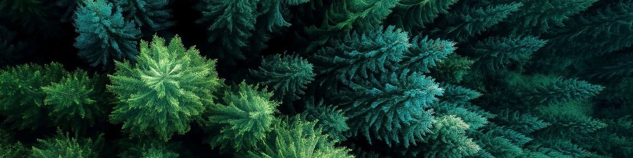 slideshow banner